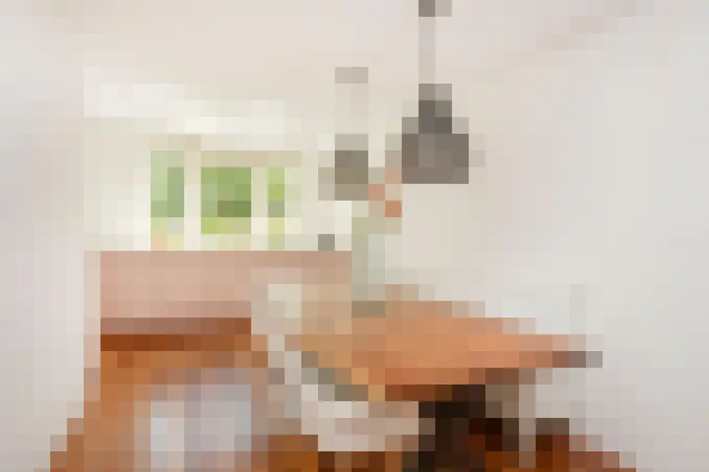 Bacchus 14 Wijk bij Duurstede thumbnail 15