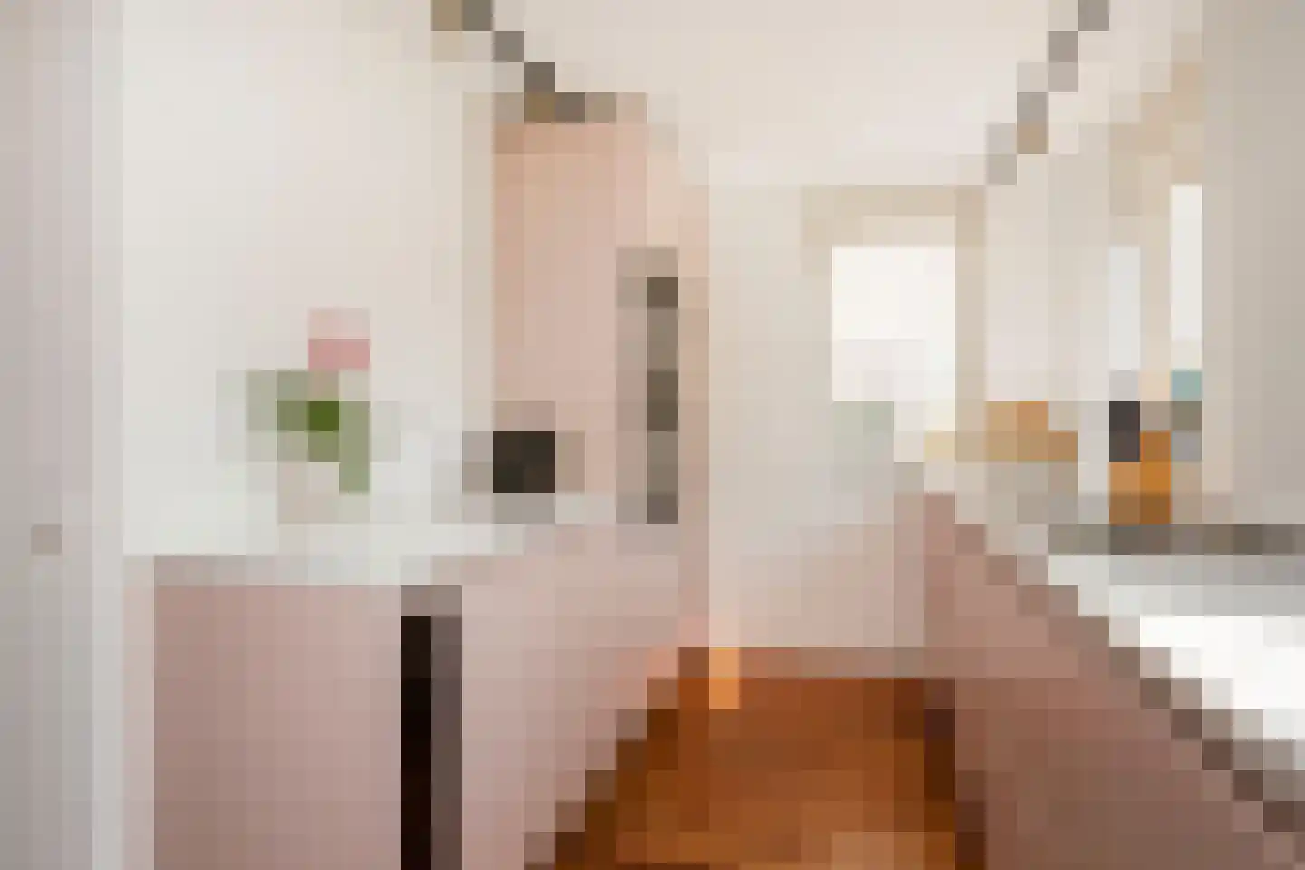 Bacchus 14 Wijk bij Duurstede thumbnail 19