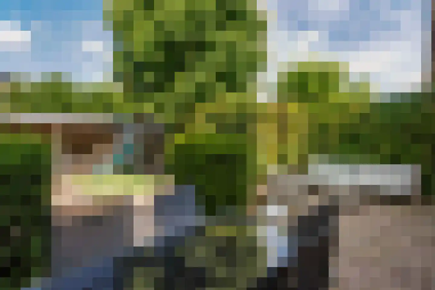 Bacchus 14 Wijk bij Duurstede thumbnail 22