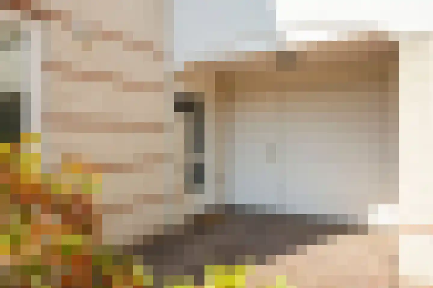 Bacchus 14 Wijk bij Duurstede thumbnail 4