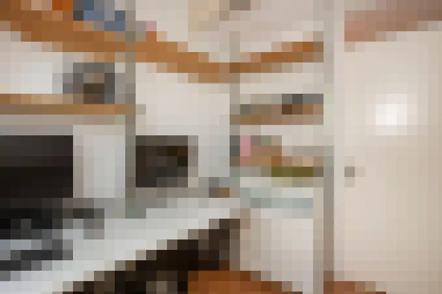 Bacchus 14 Wijk bij Duurstede thumbnail 40