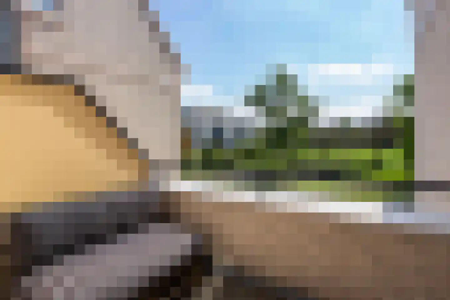 Bacchus 14 Wijk bij Duurstede thumbnail 47