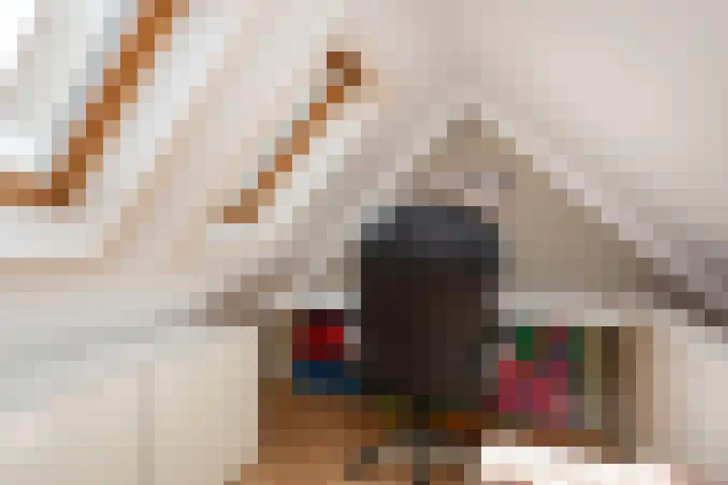 Bacchus 14 Wijk bij Duurstede thumbnail 48