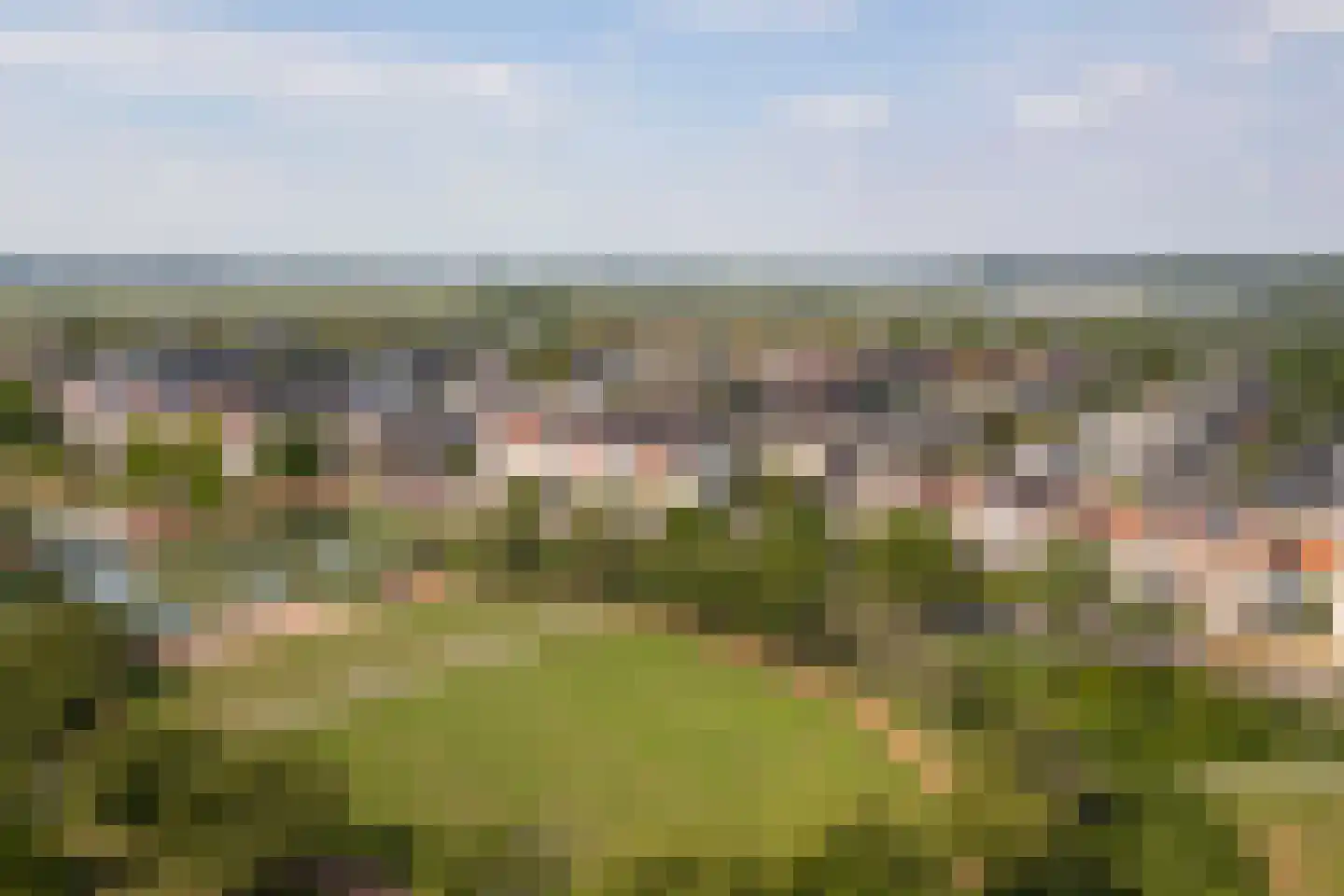 Bacchus 14 Wijk bij Duurstede thumbnail 66