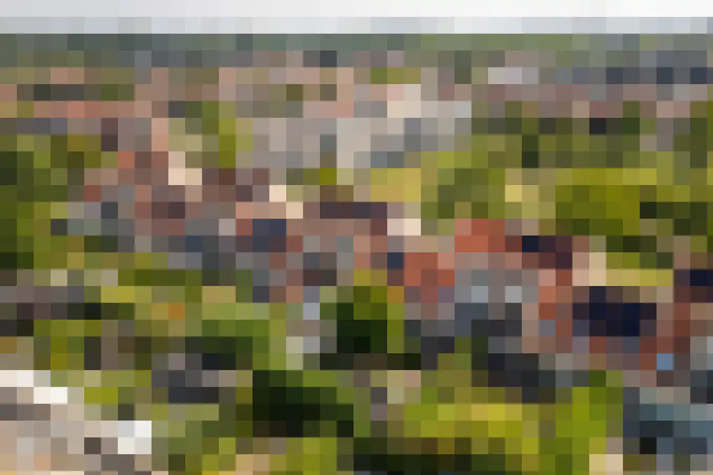 Bacchus 14 Wijk bij Duurstede thumbnail 68