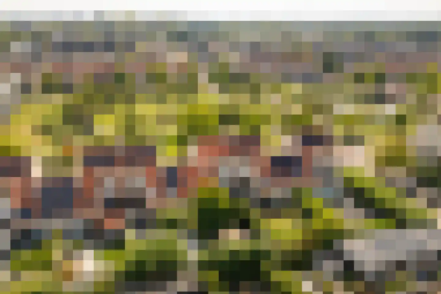 Bacchus 14 Wijk bij Duurstede thumbnail 69