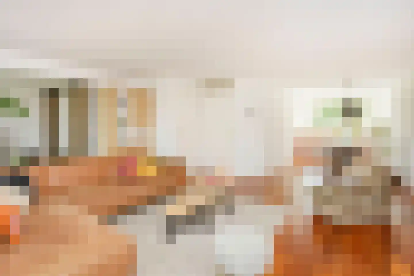 Bacchus 14 Wijk bij Duurstede thumbnail 9
