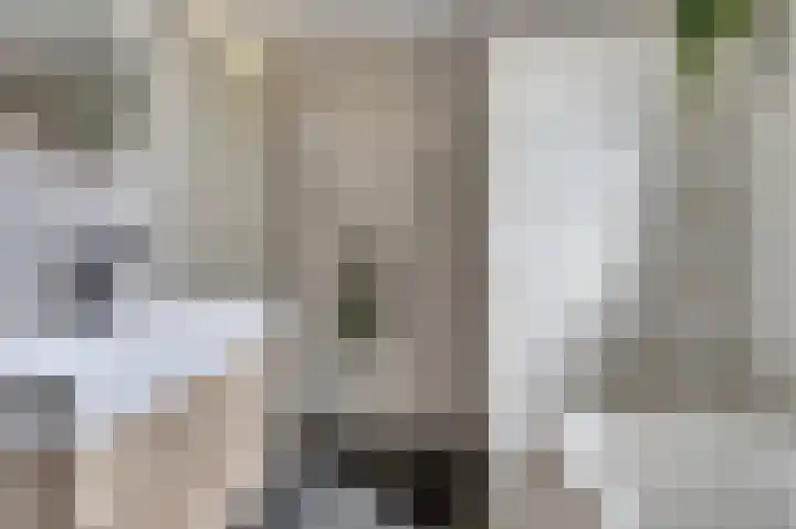 Bacchus 46 Wijk bij Duurstede thumbnail 22