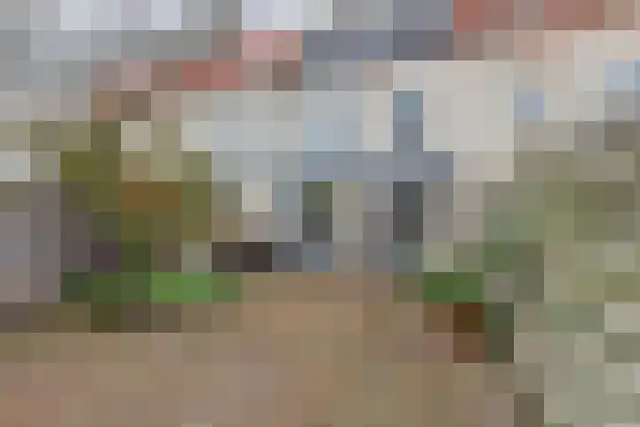 Bacchus 46 Wijk bij Duurstede thumbnail 33