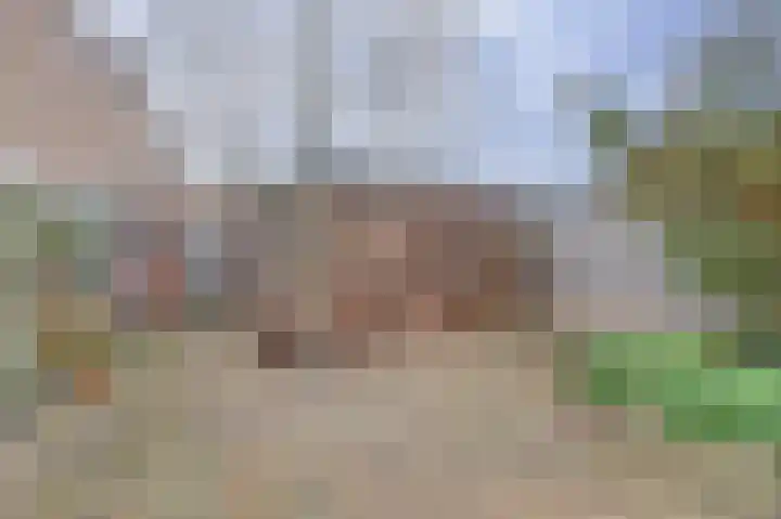 Bacchus 46 Wijk bij Duurstede thumbnail 35