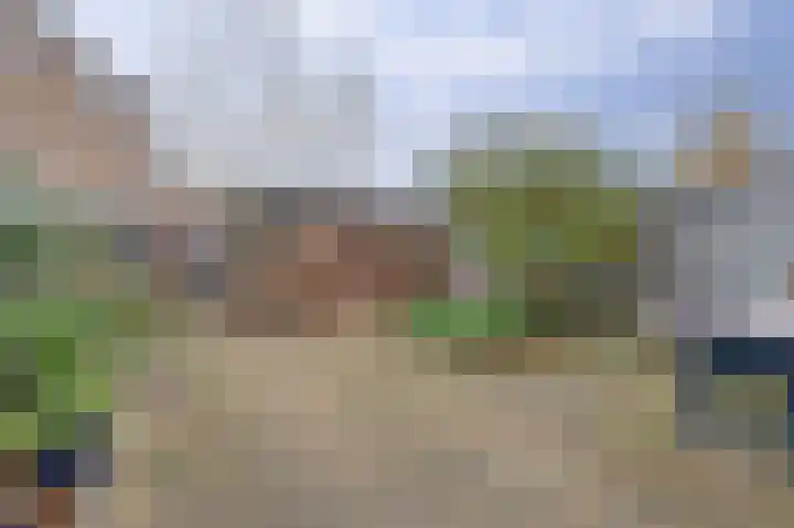 Bacchus 46 Wijk bij Duurstede thumbnail 36