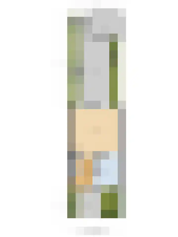 Bacchus 46 Wijk bij Duurstede thumbnail 37