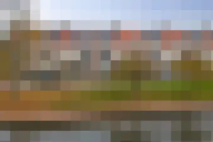 Bacchus 46 Wijk bij Duurstede thumbnail 38