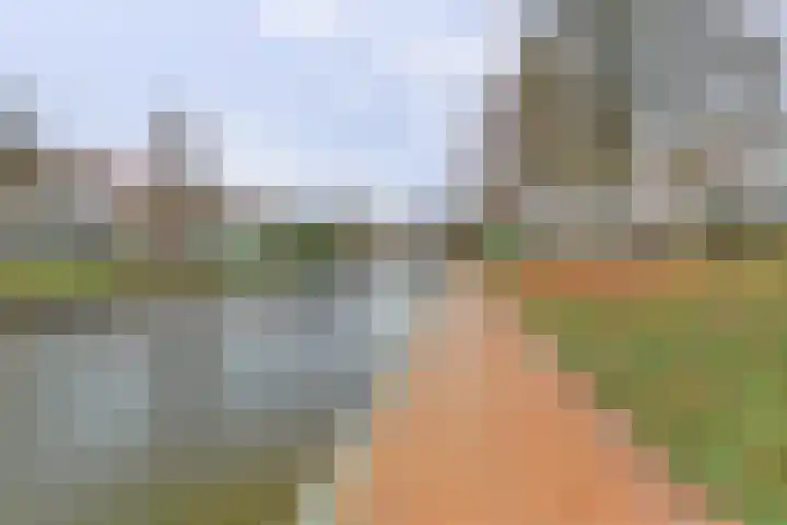 Bacchus 46 Wijk bij Duurstede thumbnail 39