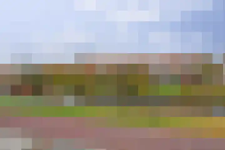 Bacchus 46 Wijk bij Duurstede thumbnail 40
