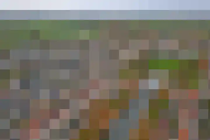 Bacchus 46 Wijk bij Duurstede thumbnail 42