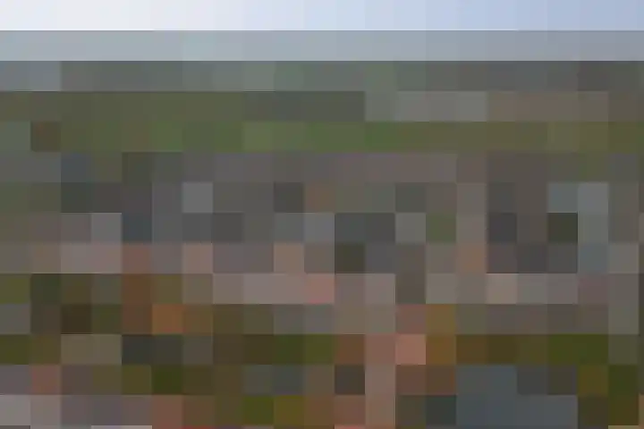 Bacchus 46 Wijk bij Duurstede thumbnail 43