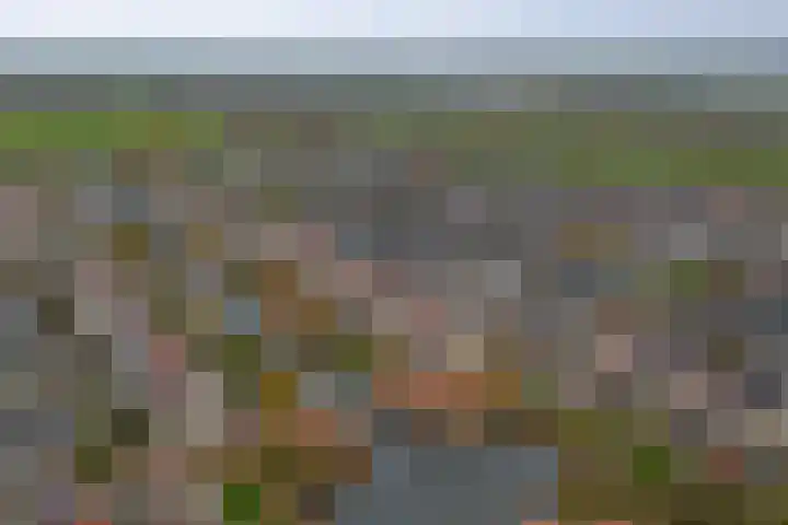 Bacchus 46 Wijk bij Duurstede thumbnail 44