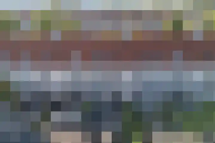 Bacchus 58 Wijk bij Duurstede thumbnail 17