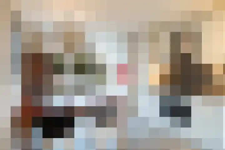 Bacchus 58 Wijk bij Duurstede thumbnail 22