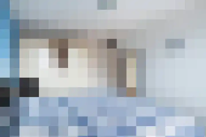 Bacchus 58 Wijk bij Duurstede thumbnail 34