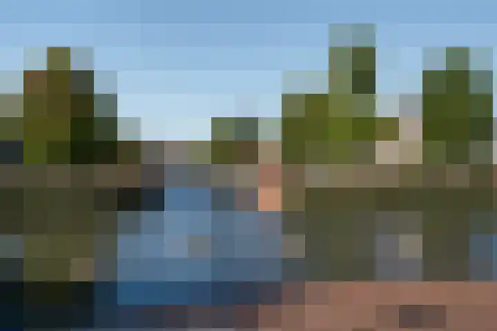 Bacchus 58 Wijk bij Duurstede thumbnail 55
