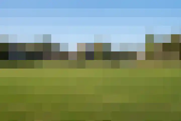 Bacchus 58 Wijk bij Duurstede thumbnail 56