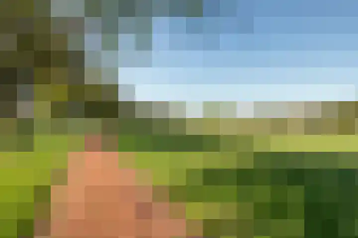 Bacchus 58 Wijk bij Duurstede thumbnail 58