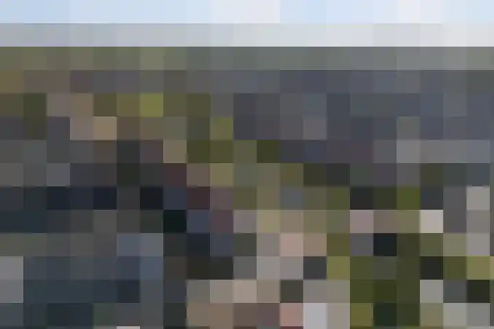 Bacchus 58 Wijk bij Duurstede thumbnail 63