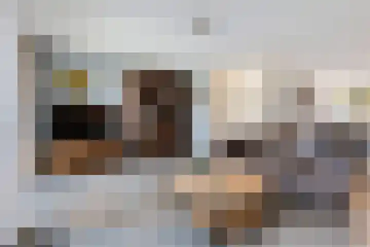Bacchus 6 Wijk bij Duurstede thumbnail 10