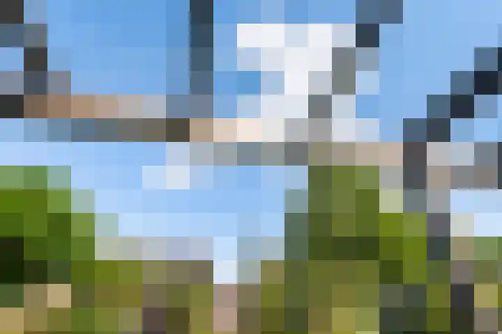 Bacchus 6 Wijk bij Duurstede thumbnail 12