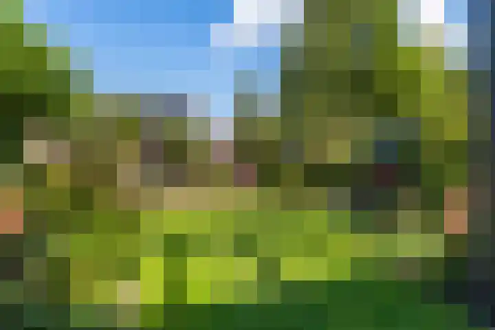 Bacchus 6 Wijk bij Duurstede thumbnail 13