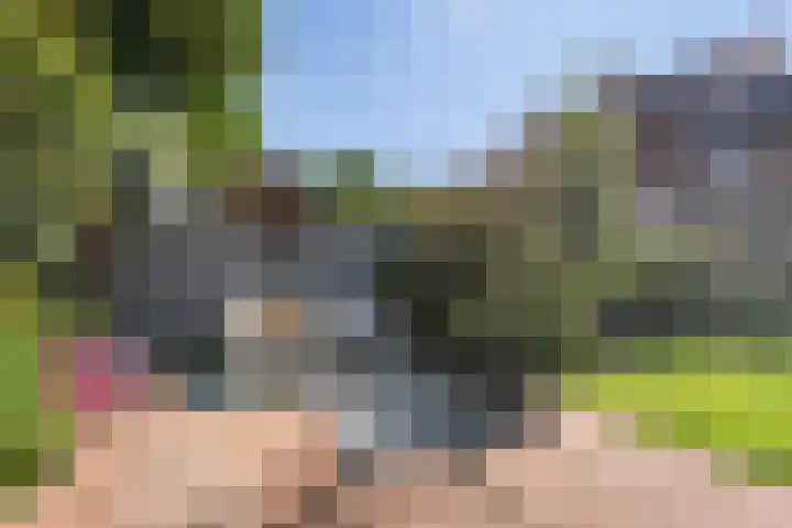 Bacchus 6 Wijk bij Duurstede thumbnail 15