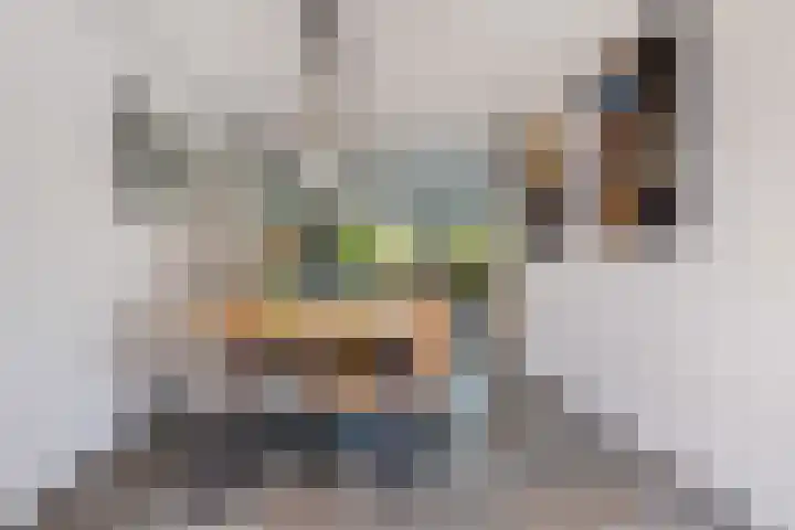Bacchus 6 Wijk bij Duurstede thumbnail 19