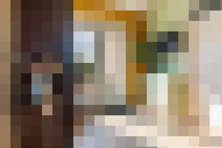 Bacchus 6 Wijk bij Duurstede thumbnail 28