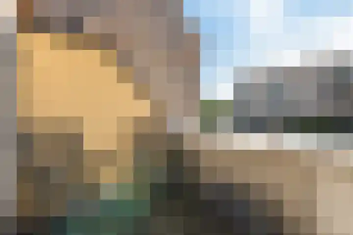 Bacchus 6 Wijk bij Duurstede thumbnail 30
