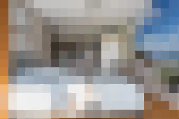 Bacchus 6 Wijk bij Duurstede thumbnail 34