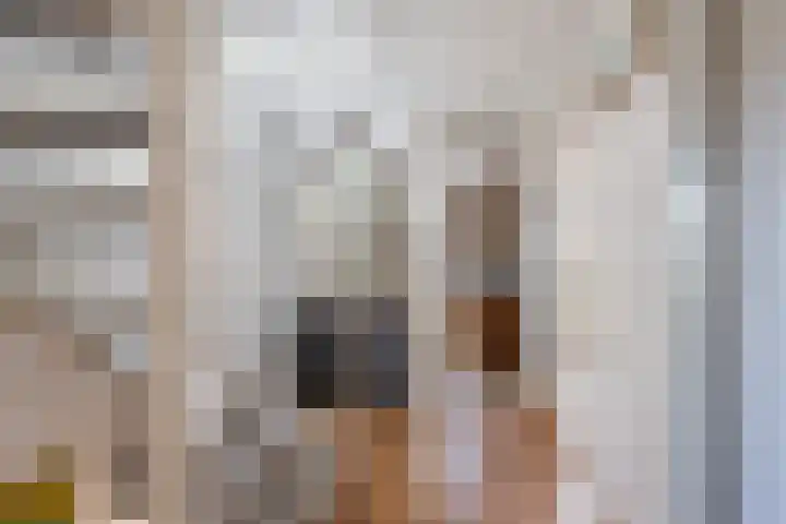 Bacchus 6 Wijk bij Duurstede thumbnail 37