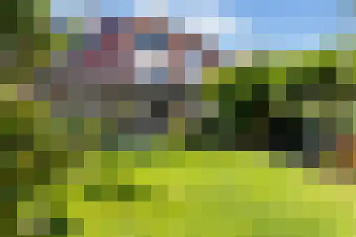 Bacchus 6 Wijk bij Duurstede thumbnail 4