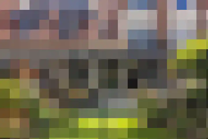 Bacchus 6 Wijk bij Duurstede thumbnail 5