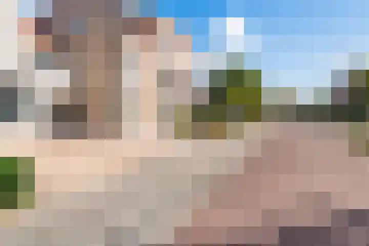 Bacchus 6 Wijk bij Duurstede thumbnail 54