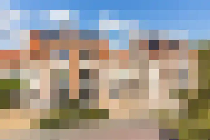 Bacchus 6 Wijk bij Duurstede thumbnail 56
