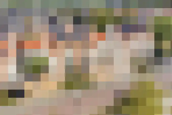 Bacchus 6 Wijk bij Duurstede thumbnail 58