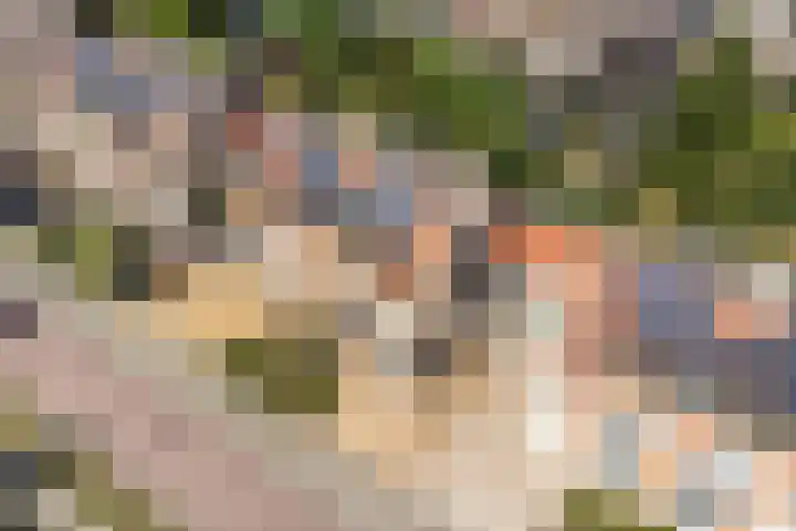 Bacchus 6 Wijk bij Duurstede thumbnail 59