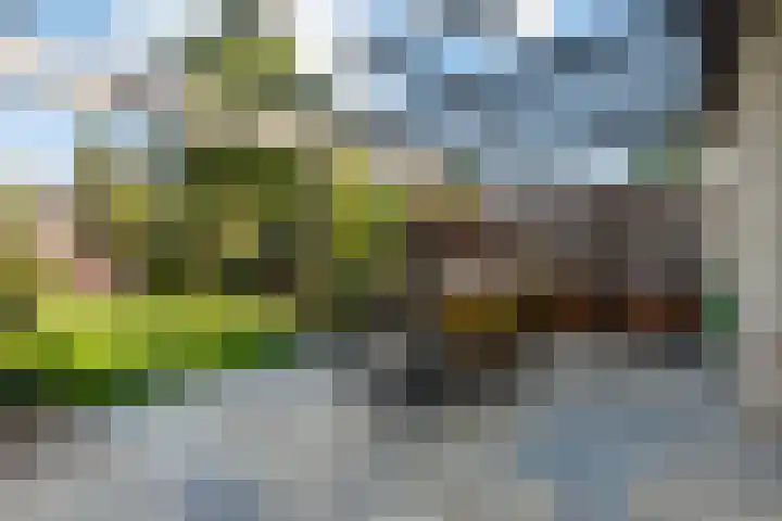 Bacchus 6 Wijk bij Duurstede thumbnail 6