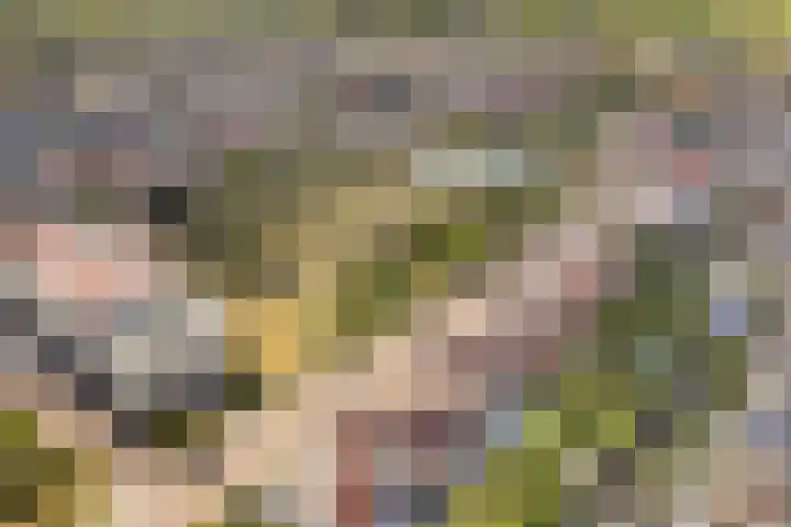 Bacchus 6 Wijk bij Duurstede thumbnail 61