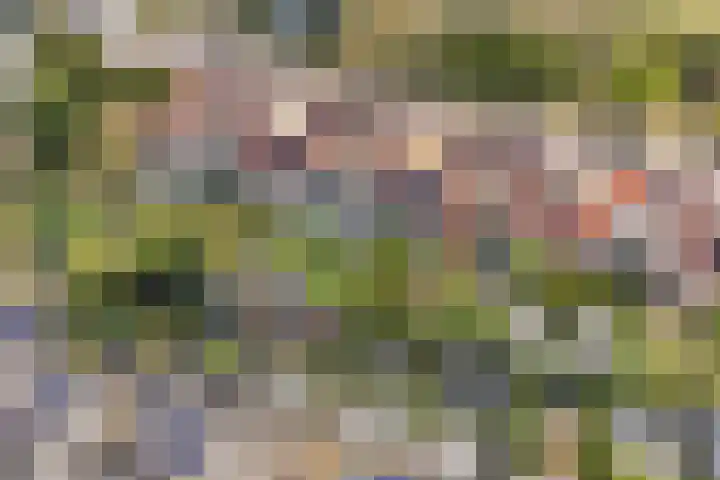 Bacchus 6 Wijk bij Duurstede thumbnail 62