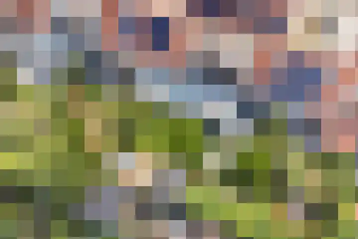 Bacchus 6 Wijk bij Duurstede thumbnail 64