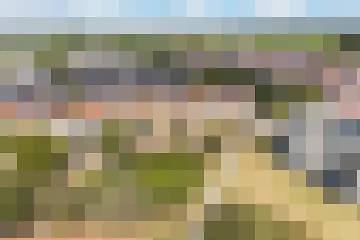 Bacchus 6 Wijk bij Duurstede thumbnail 65