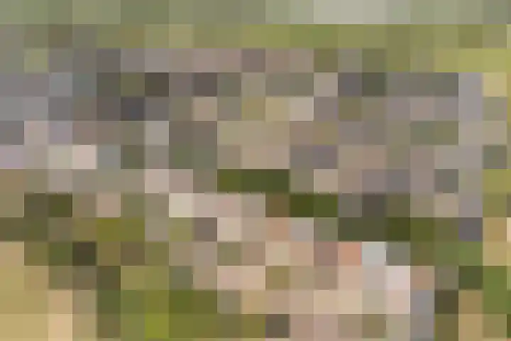 Bacchus 6 Wijk bij Duurstede thumbnail 66